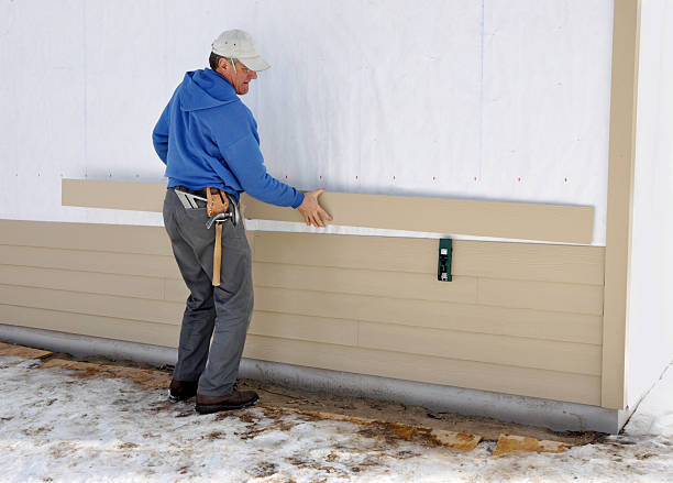 Best Composite Siding  in Demorest, GA